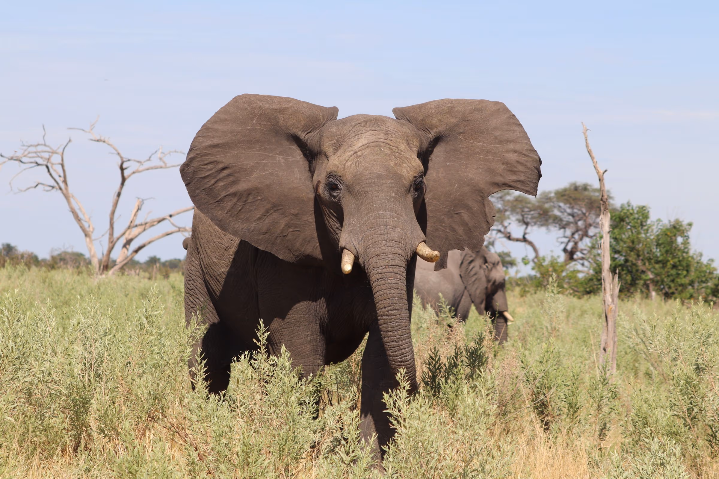 Spa destinations in Botswana