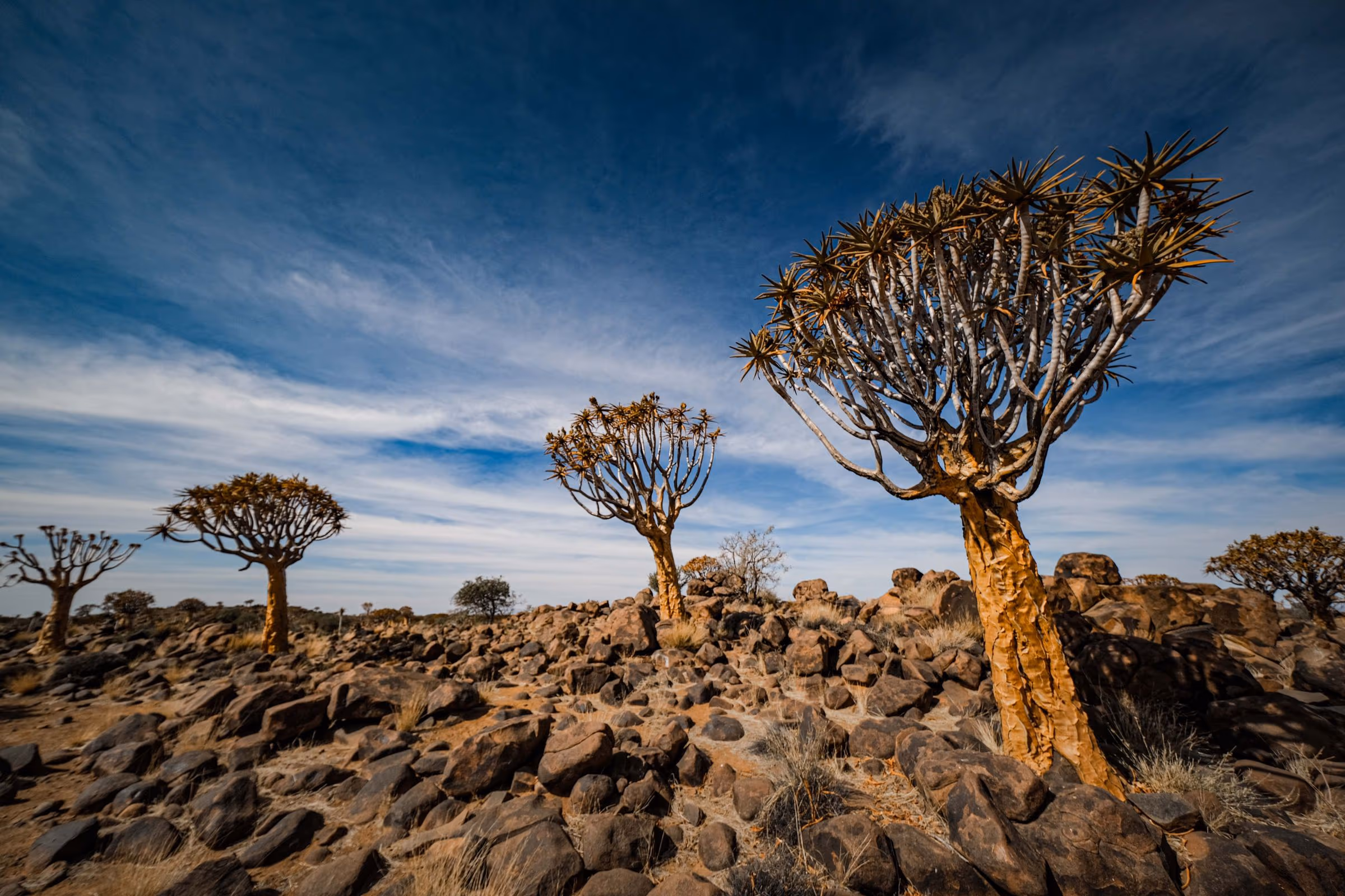 Spa hotels in Kasika, Namibia