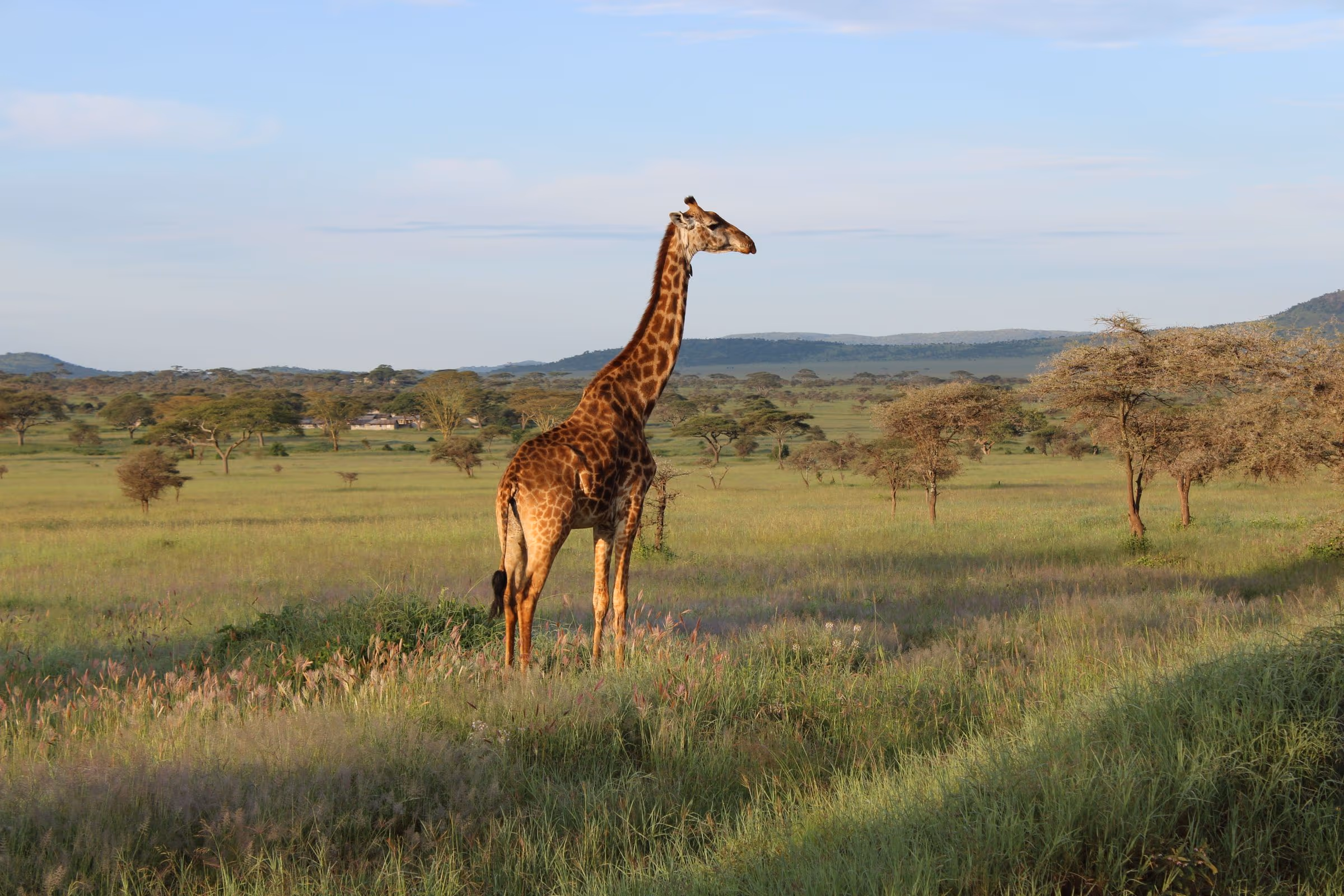 Spa hotels in Serengeti, Tanzania