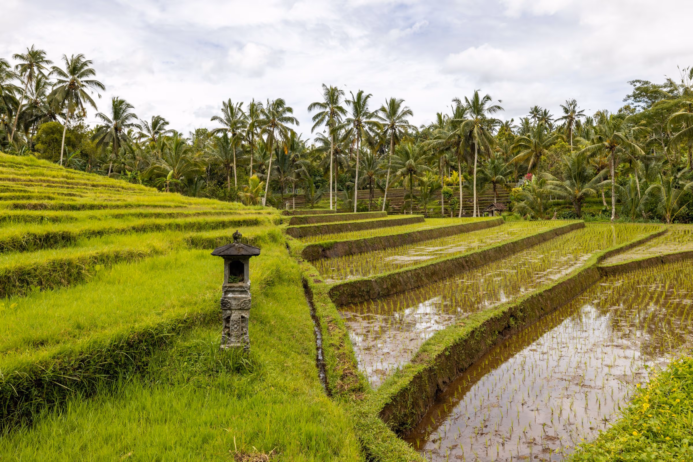 Spa hotels in Ubud, Indonesia